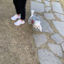 뚜비농장 이미지