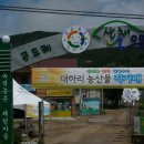 산채으뜸마을 이미지