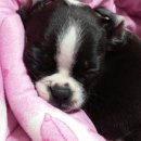 배식농장 이미지