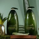 헤어샴푸 - 중구 | 헤어샴푸