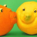 얌마(Yamma) 이미지