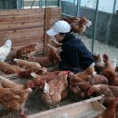 지양농장 이미지