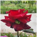 태안힐링캠프 이미지