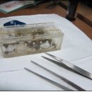 저팔계농장 이미지