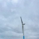 파리바게뜨동부 | 제주 동쪽 카페 코난비치 오션뷰 레이오버 애견동반 키즈존 후기