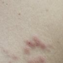 힐통증의학과의원 이미지