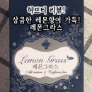라토스 이미지