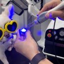 분당 피엘 동물피부클리닉 이미지