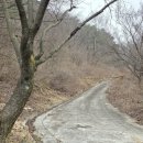 올리브부동산중개사무소 이미지