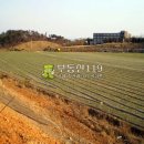 창리농장 이미지