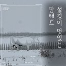 푸른농장 해바라기 | 안성 팜랜드 | 겨울팜랜드 설경과 포토존 (2024년 첫눈)