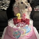 켄싱턴 가평 노래연습장 | 2월 순삭 해피 생일주간기록