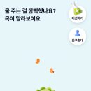 이들케이 이미지