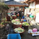 백마농장3 이미지