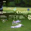 아일릿 카카오 검색결과