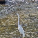 수유 자매 식당 이미지