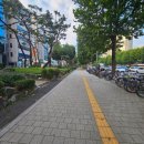 브로컬리헤어샵() 이미지