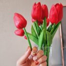 미앤린네일아트 | 서창동네일 미앤린네일아트 후기