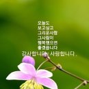 단양토종마늘순대 이미지
