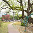 솔빛공원 이미지