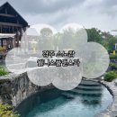 웰니스앤스파연구원 | 경주 소노캄 웰니스풀앤스파 후기