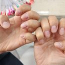 사직동 네일샵 &#39;네일은&#39; 내돈내산 찐 후기