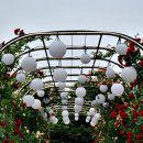 중랑화원 이미지