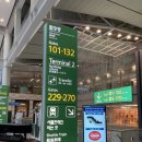 [항공 뉴스] 1~4월 日 항공편 승객 역대 최대 기록... 코로나 이전보다 16% 증가