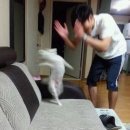 한국나노 | 251011 노벨브라이트 Novelbright 내한공연 나노 후기