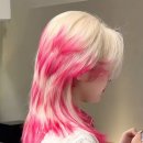 수원-0850 이미지