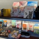 댕복궁 | [ 반려동물 분양 ] 파주 강아지분양 '댕복궁' 방문후기