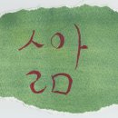 민들레1 이미지