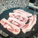 전원일기마을 오토 캠핑장 이미지