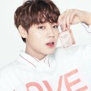 워너클린 이미지
