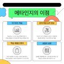 인지컴퍼니