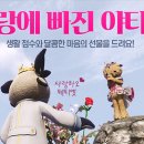 야타오 이미지