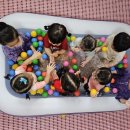 정금장 - 구로구 경인로 193 | 정금장