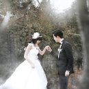 엘스튜디오 이미지