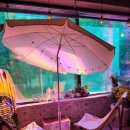 하우카페 이미지