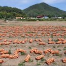 (주)시드플러스