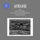 박근준유외과의원 이미지