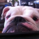 멍이사랑 이미지