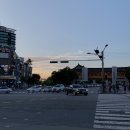 지선농장 | 4학년 복학생 일기 2