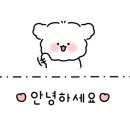 메디컬풋케어 동성제약 풀리메디 청주서원대리점