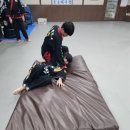 합기도 용호체육관 이미지