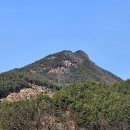 양산면사무소 이미지