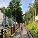 우면산 (범바위 정자 옆) | 서울 서초동 우면산 등산코스 초보자 추천 산행지