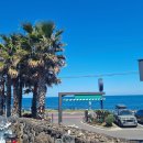 기영목장 | 여행] 협재해수욕장, 우니담, 도치돌 알파카 목장, 기영상회, 서쪽밤, 불멍, 한림, 애월, 게스트하우스