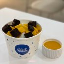 포항 디저트 아이스크림 맛집 내돈내산 후기 : 요거트월드