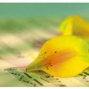 고운 마음 사랑으로 전합니다 이미지